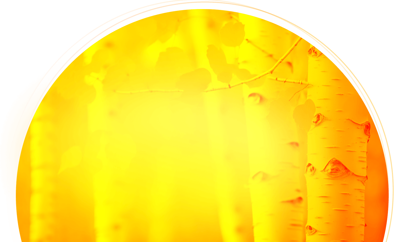 Фон баннера Новый трек уже в сети!